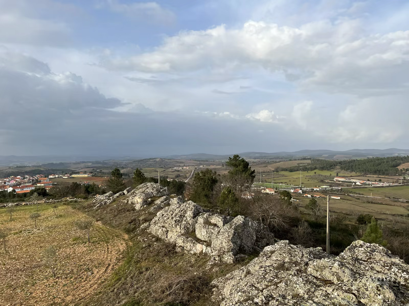 Vimioso
