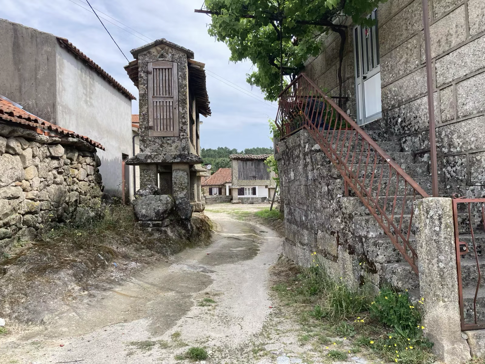 Vilarinho de Samardã