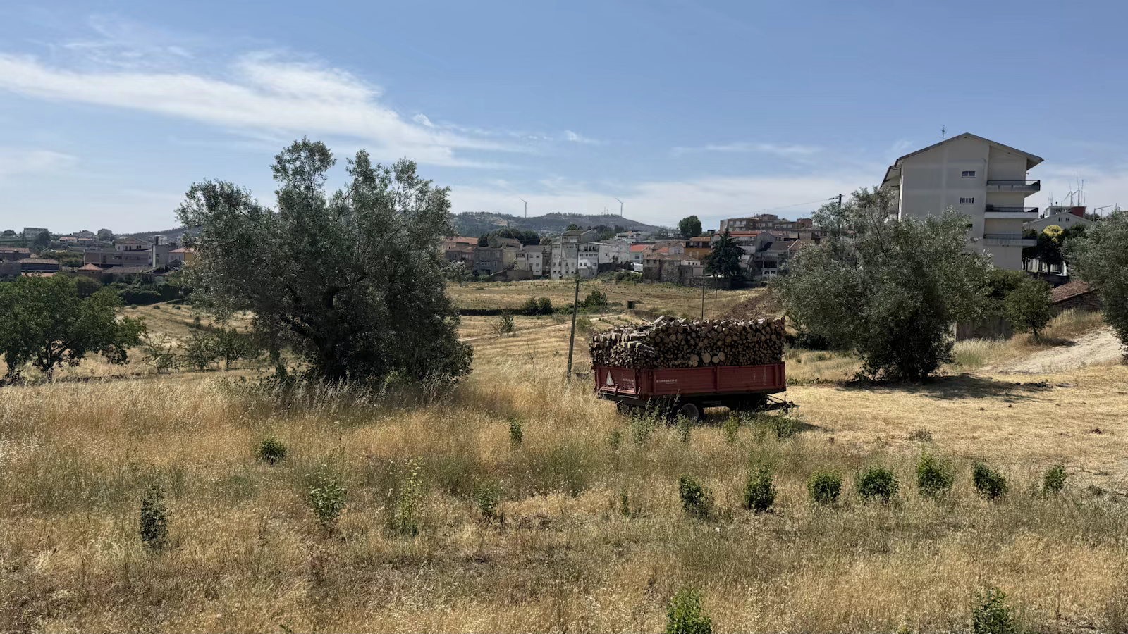 Moimenta da Beira