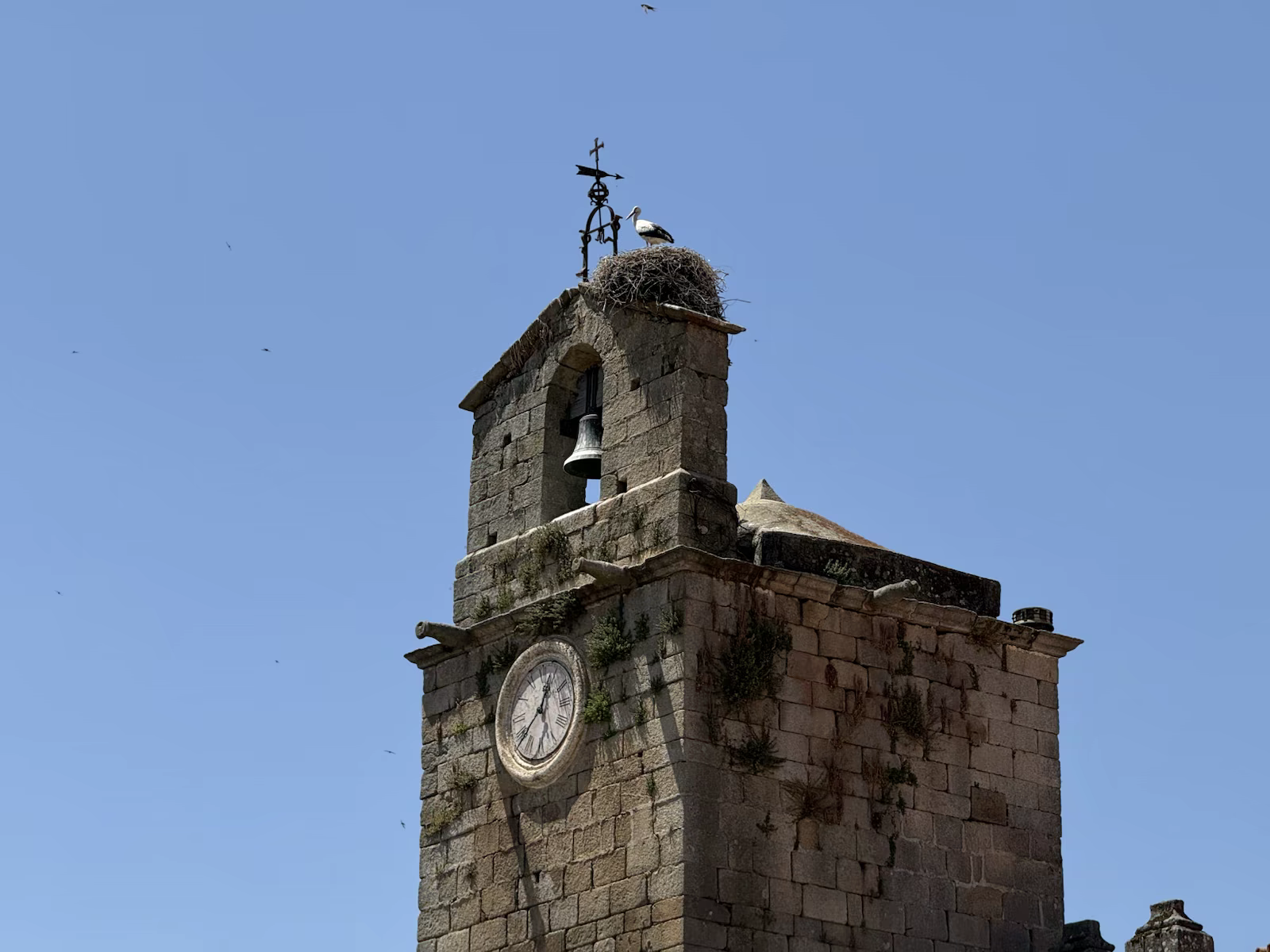 Sabugal