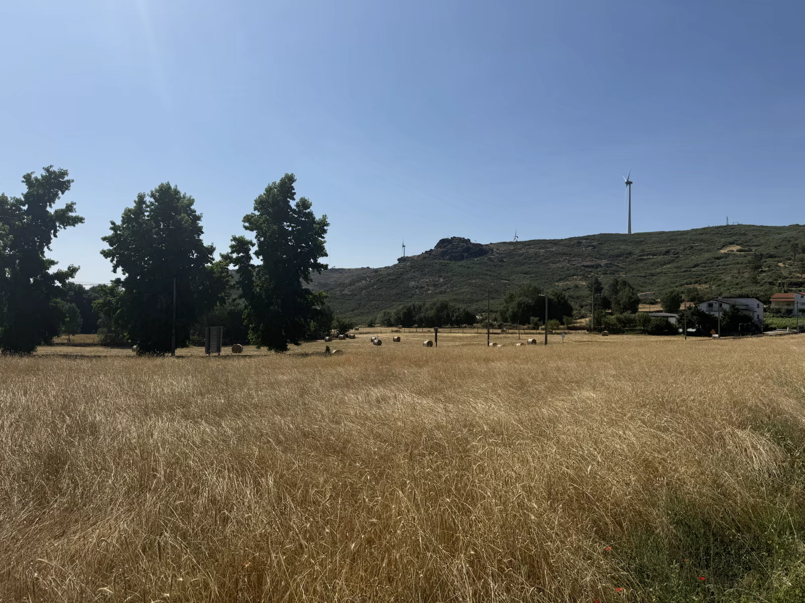 Vale de Estrela